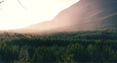 Christopher Mayfield